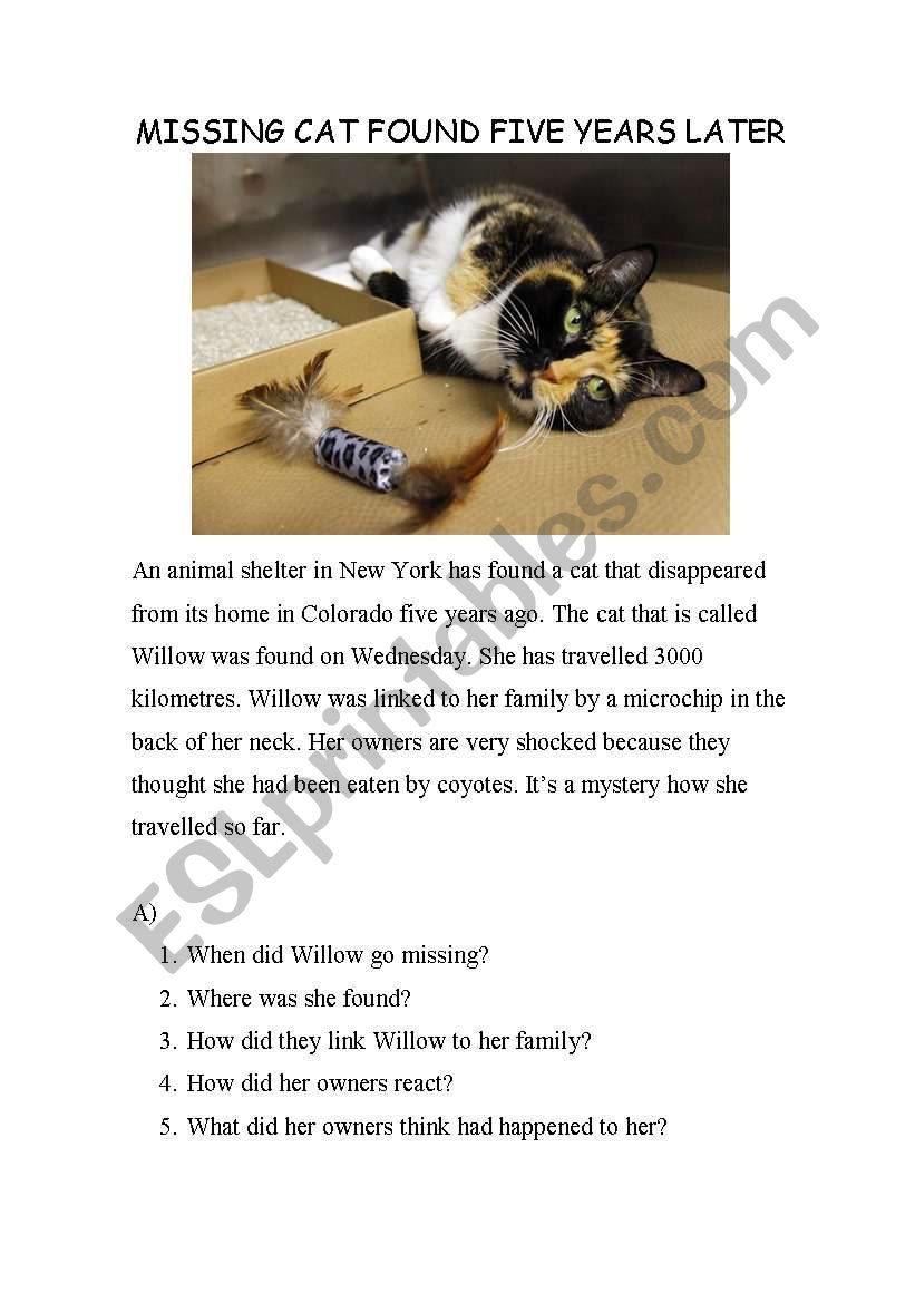 Missing Cat story and poster exercise