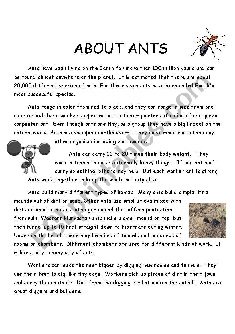About Ants worksheet