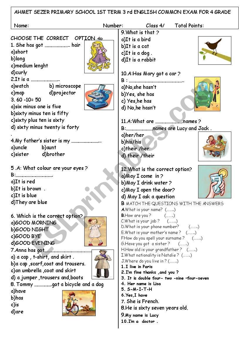 EXAM FOR BEGINNERS worksheet