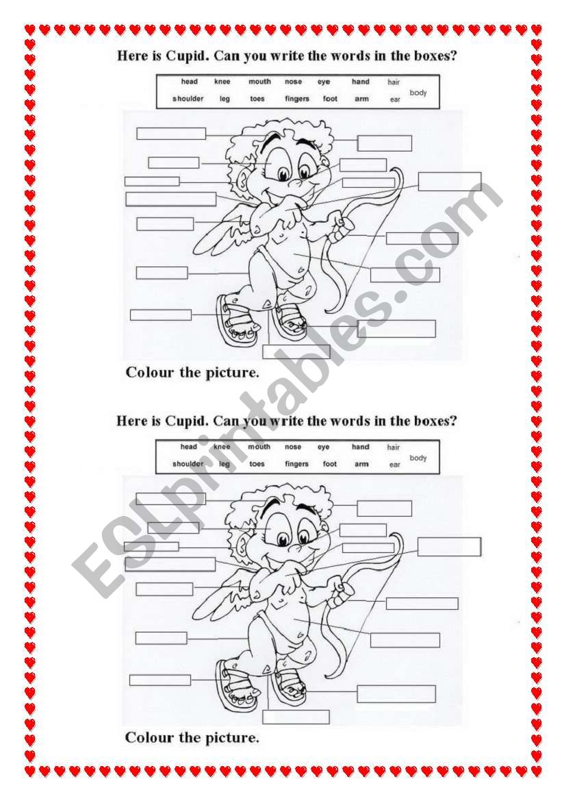 Cupid. Parts of body. worksheet