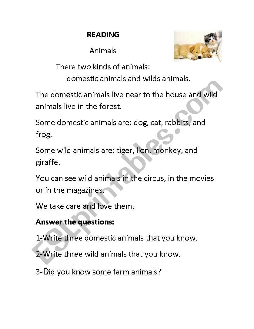 animals worksheet