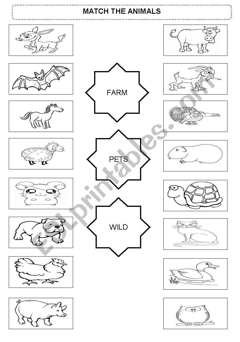 Match the animals worksheet