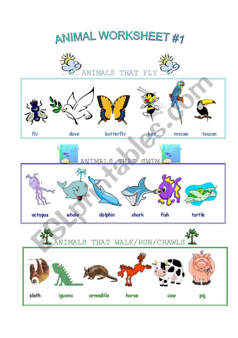 Animal Worksheet worksheet