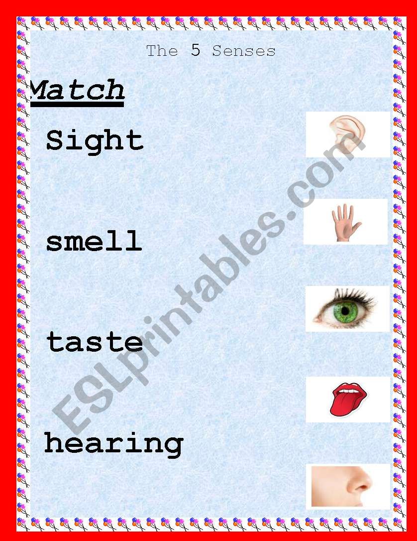 Sense organs worksheet