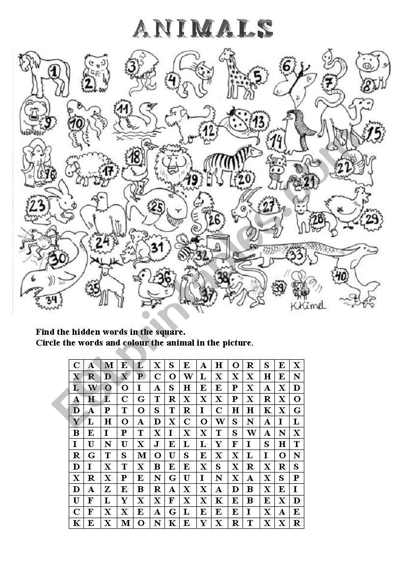 ANIMALS - vocabulary worksheet