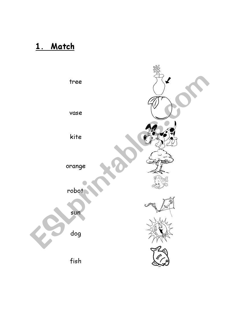 Word Revision worksheet