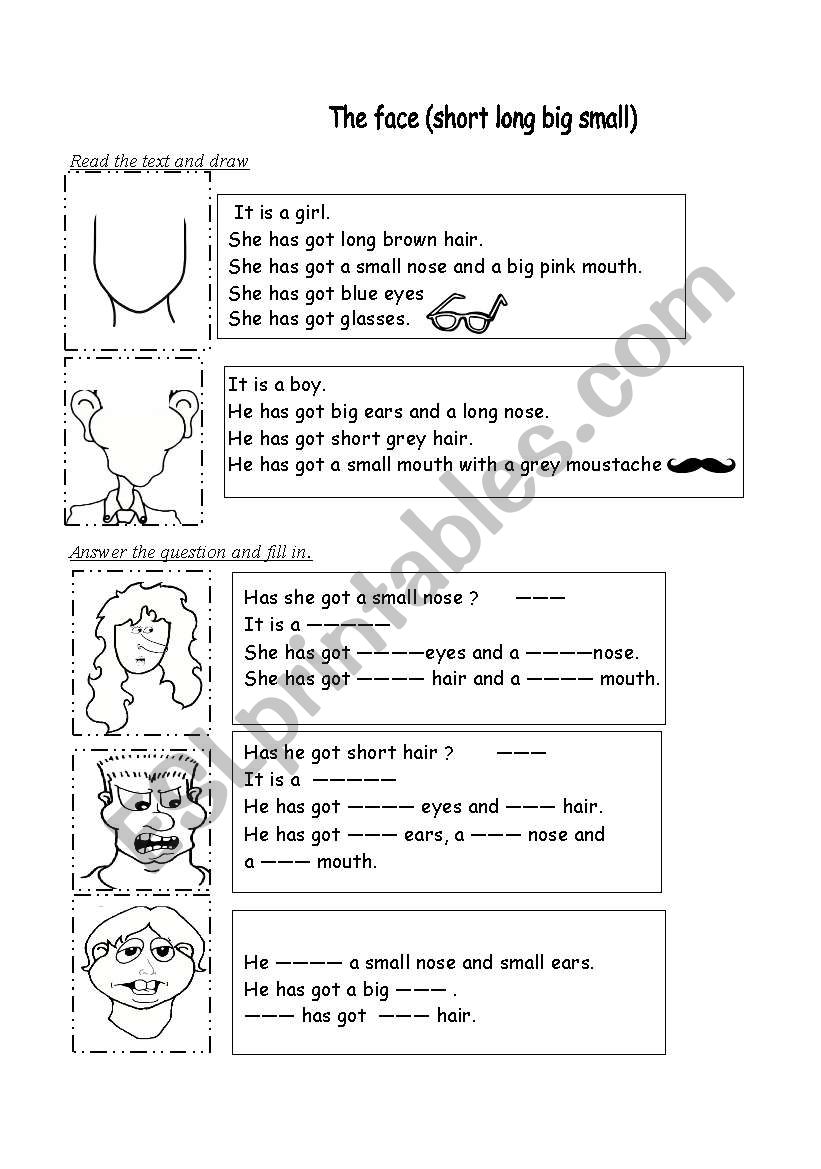 The face worksheet