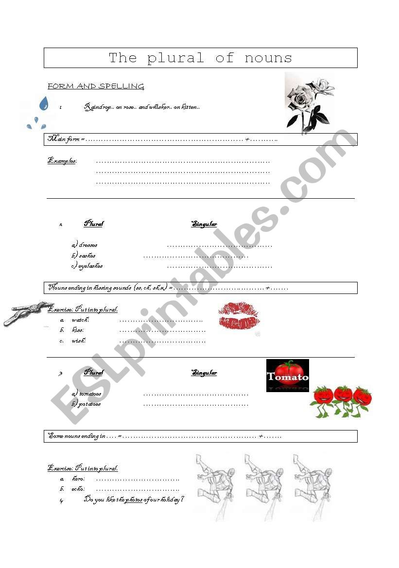 plural of nouns worksheet