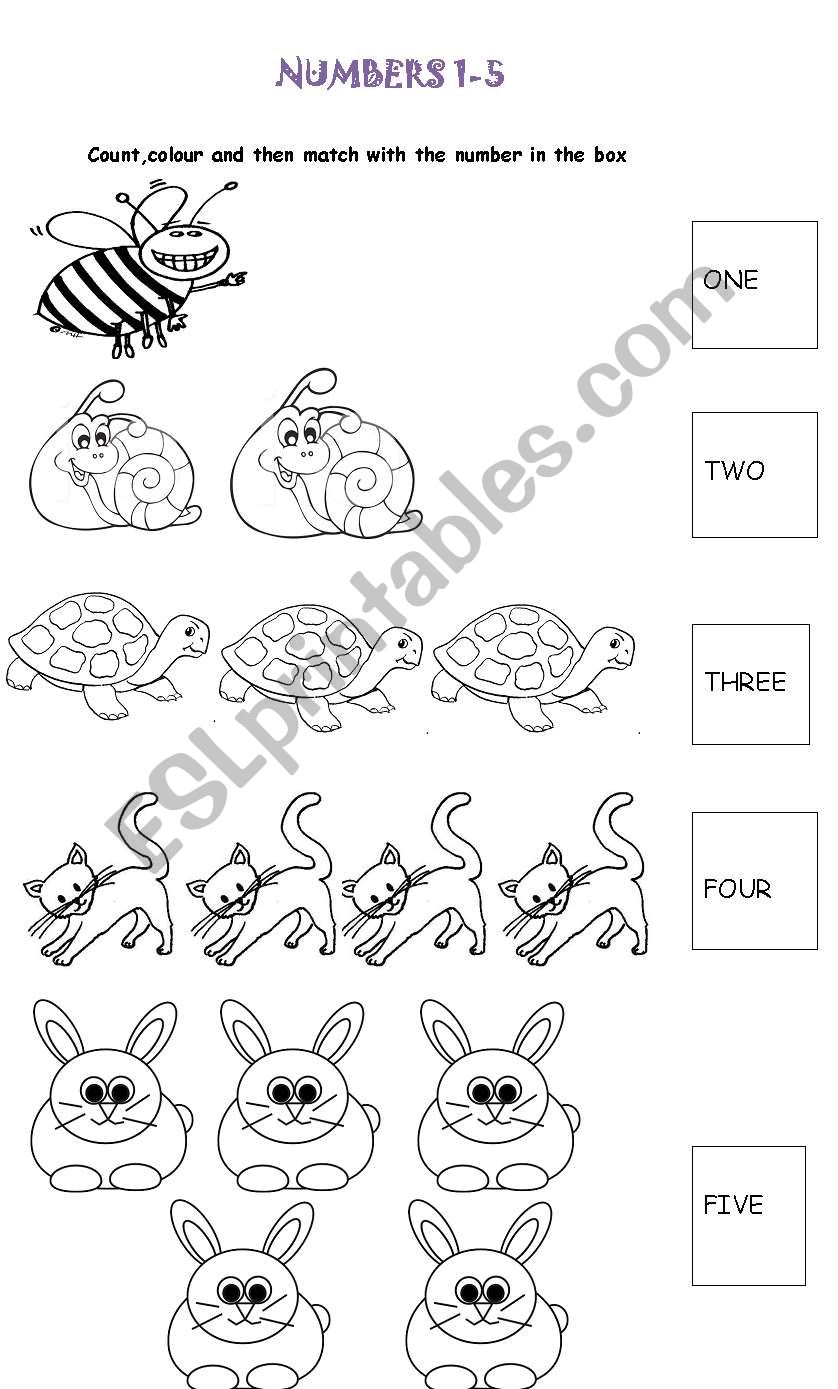 Numbers 1-5 worksheet