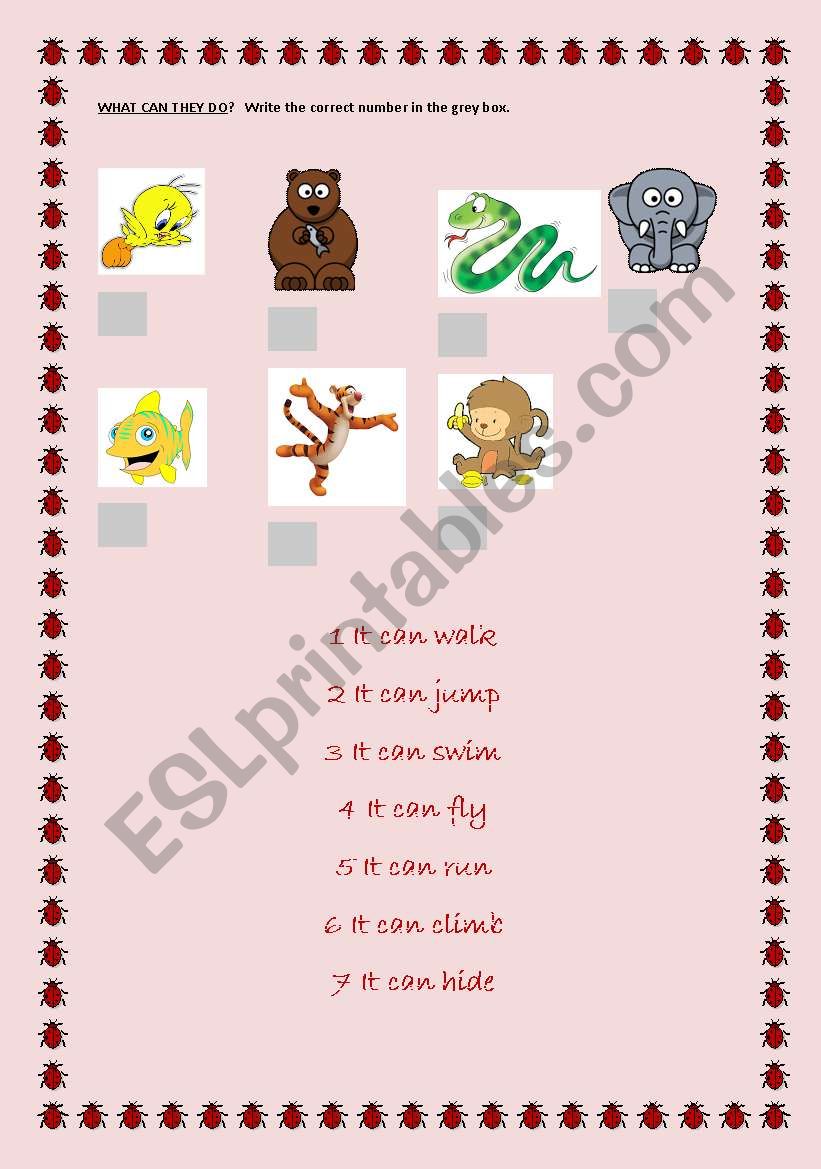 ANIMALS & CAN 2 PART worksheet