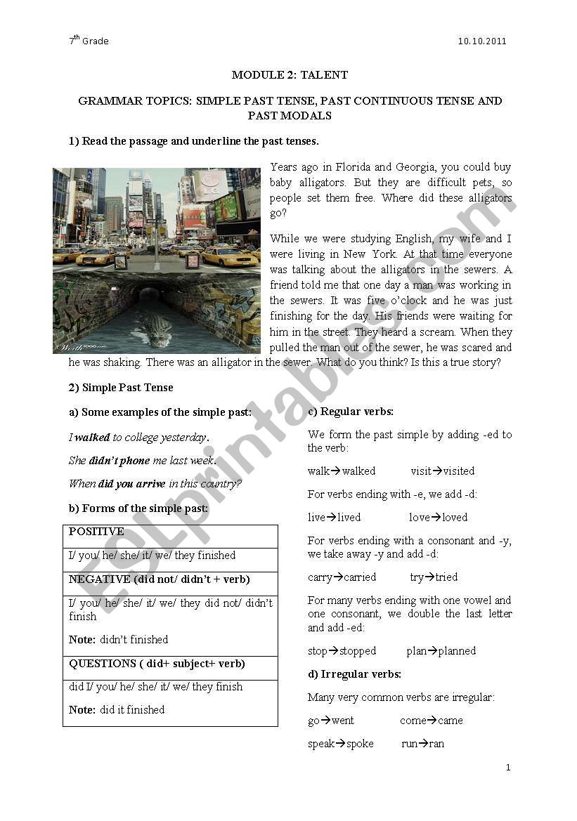 past modals-past simple tense-past continuous tense