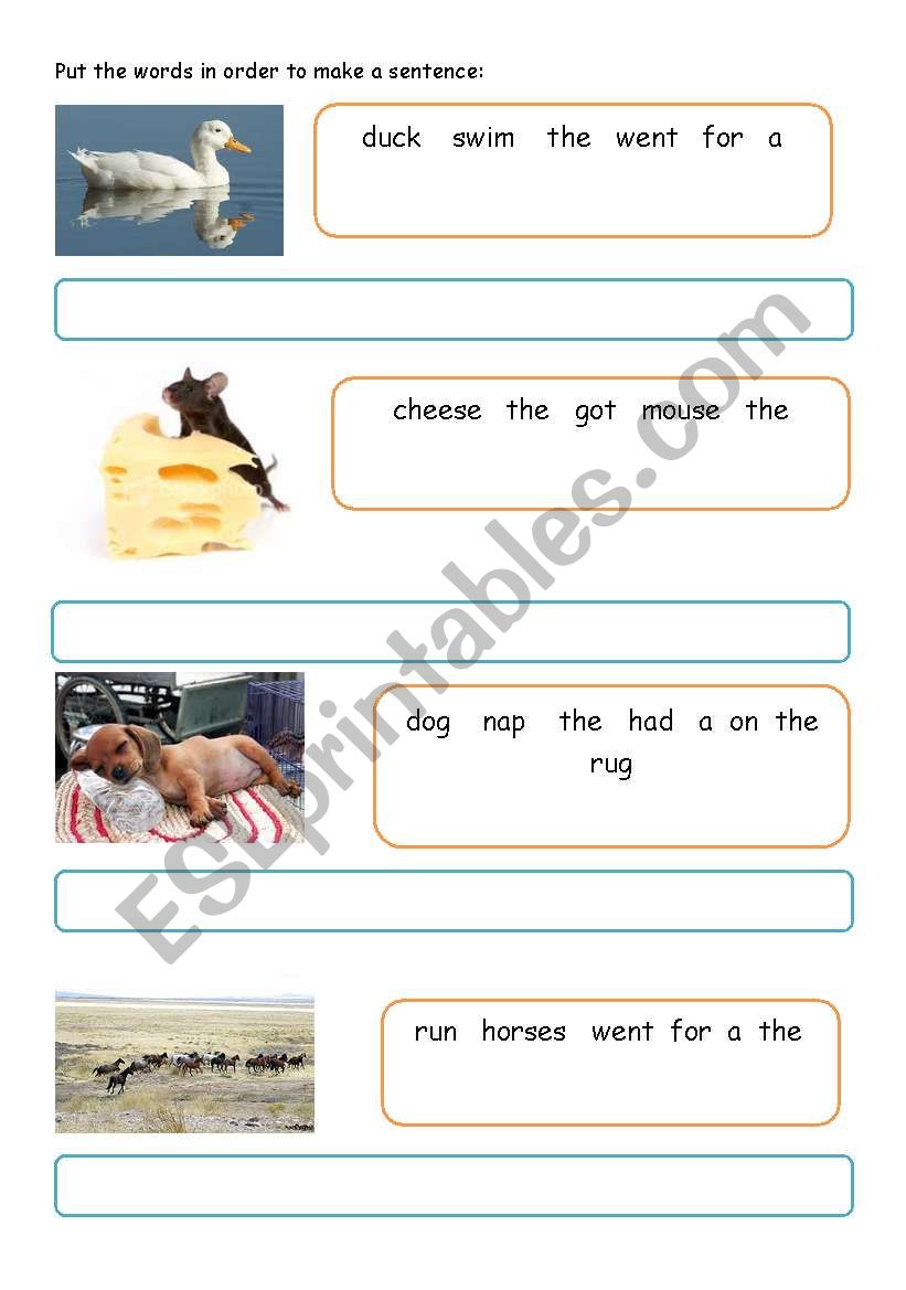 Word Order worksheet