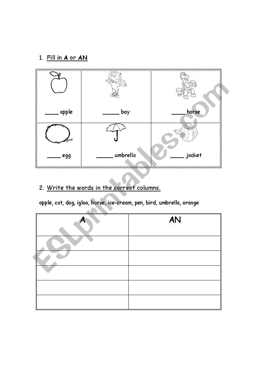 A-An worksheet