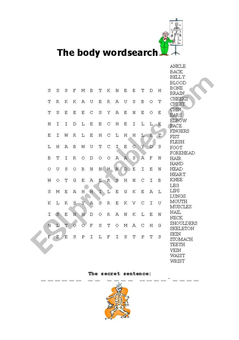 The body wordsearch worksheet