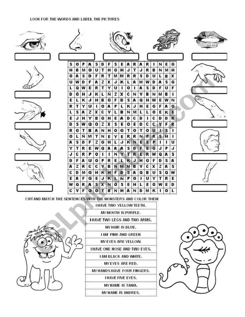 My face and my body worksheet