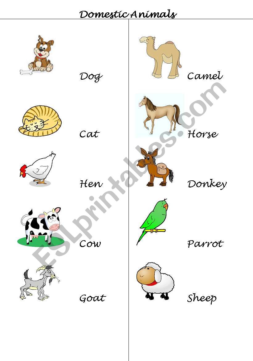 Domestic Animals worksheet