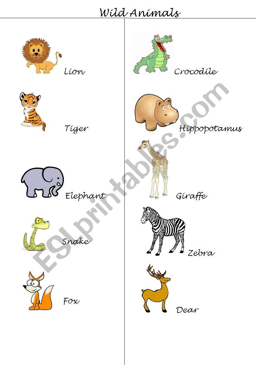 Wild Animals worksheet