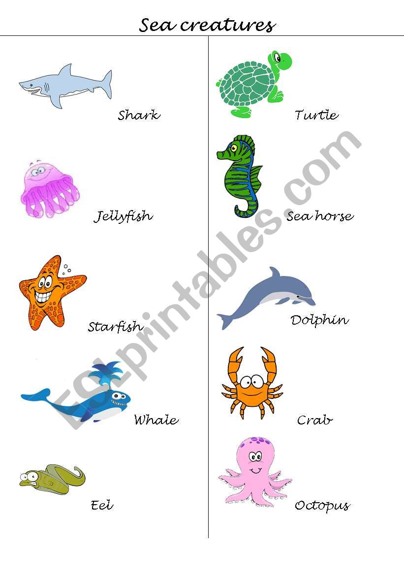 Sea creatures  worksheet