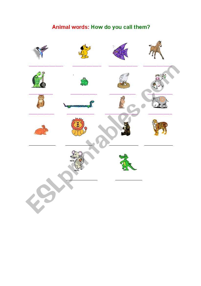 Animal words worksheet