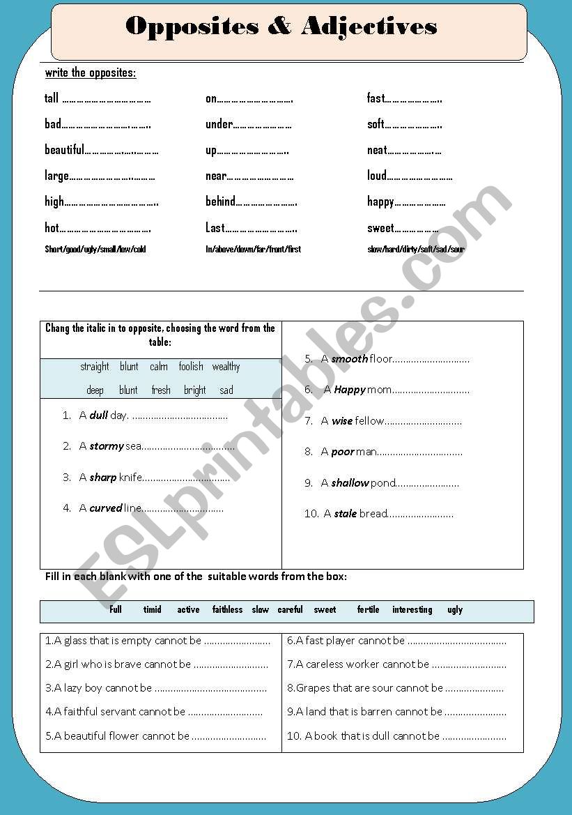 Opposites  worksheet