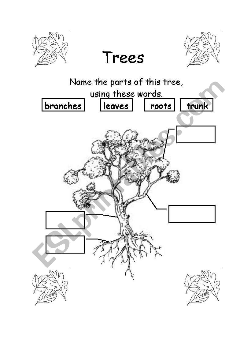 Parts of a tree worksheet