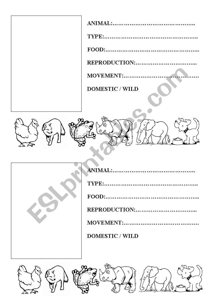 Science: animals record worksheet