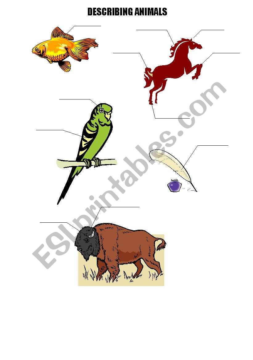 describing animals worksheet