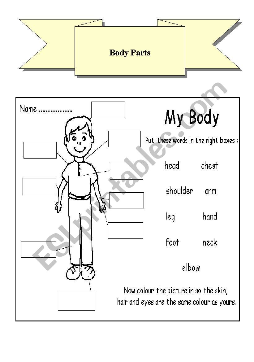 Body Parts worksheet