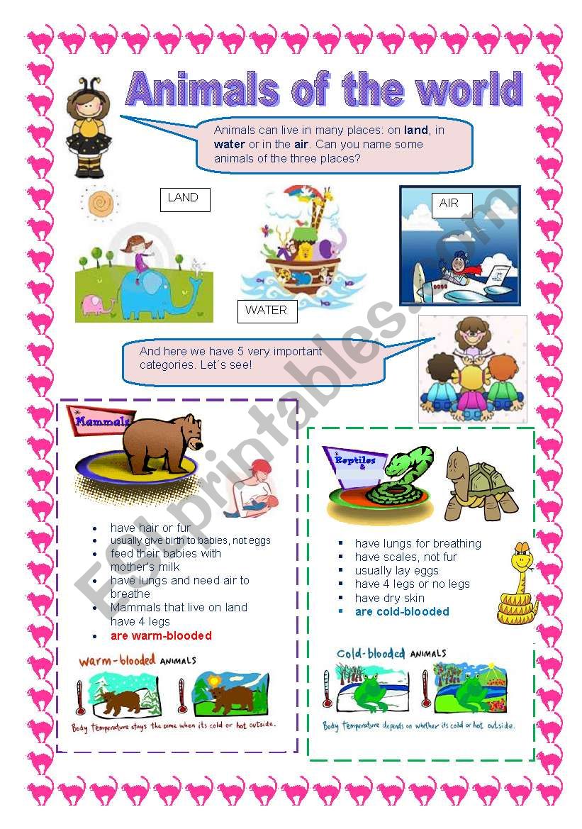 Animals of the world worksheet