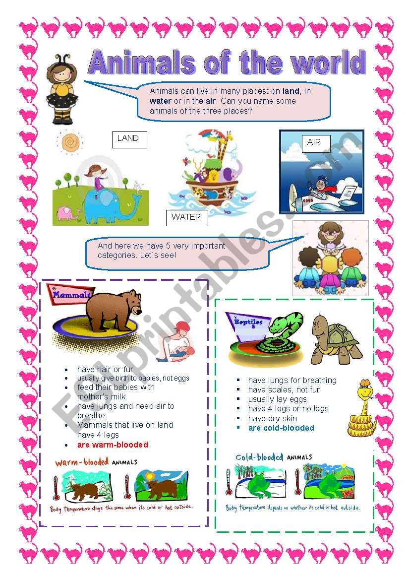 Animals of the world worksheet