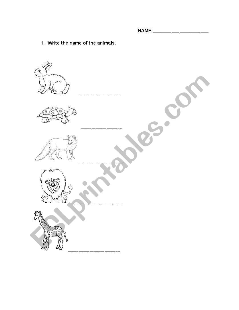 ANIMALS worksheet