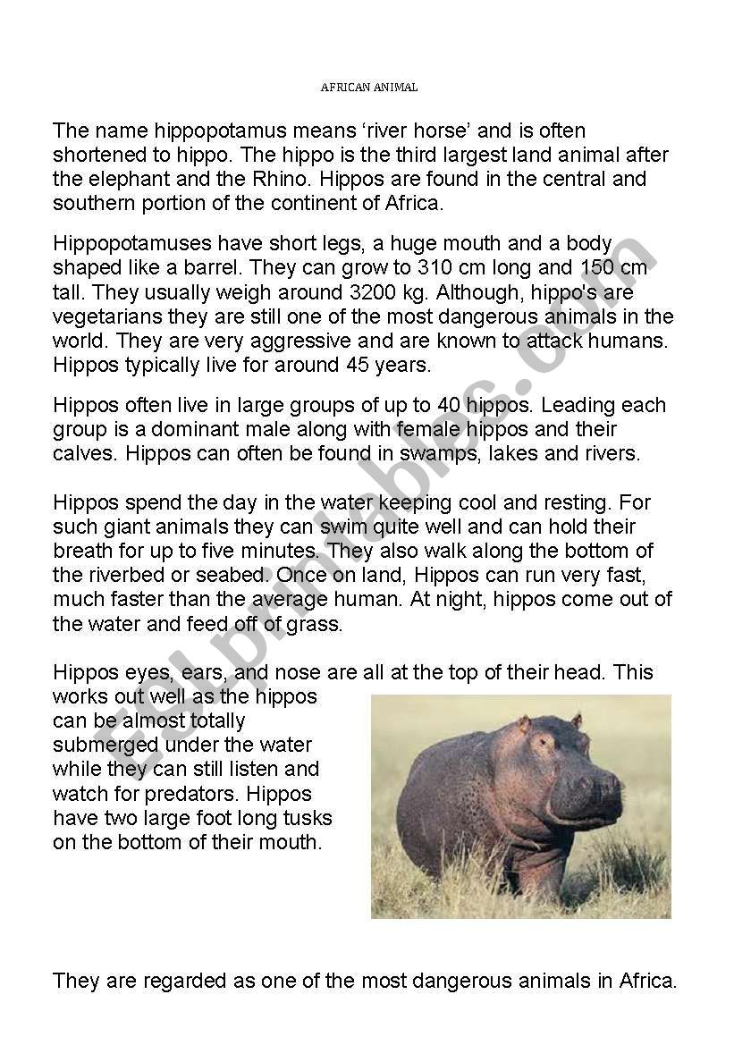 Report writing - hippo worksheet