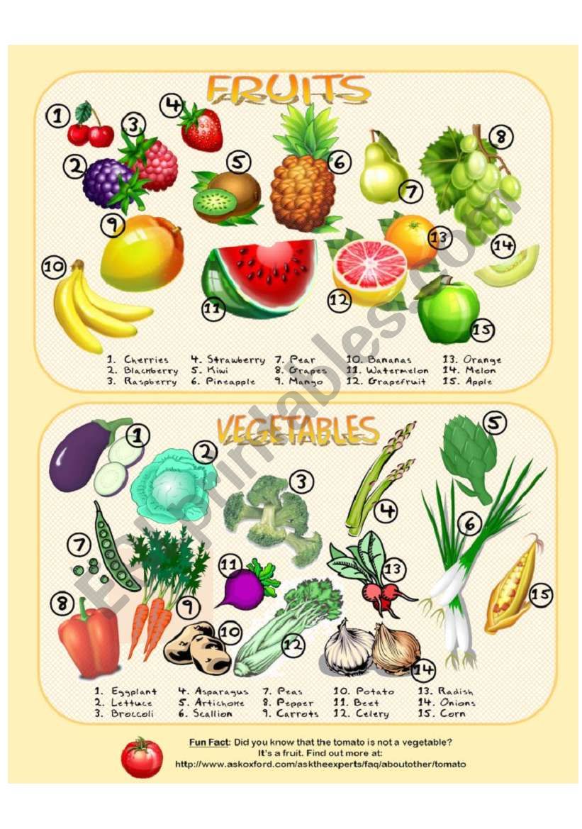 Fruits & Vegetables - Picture Dictionary