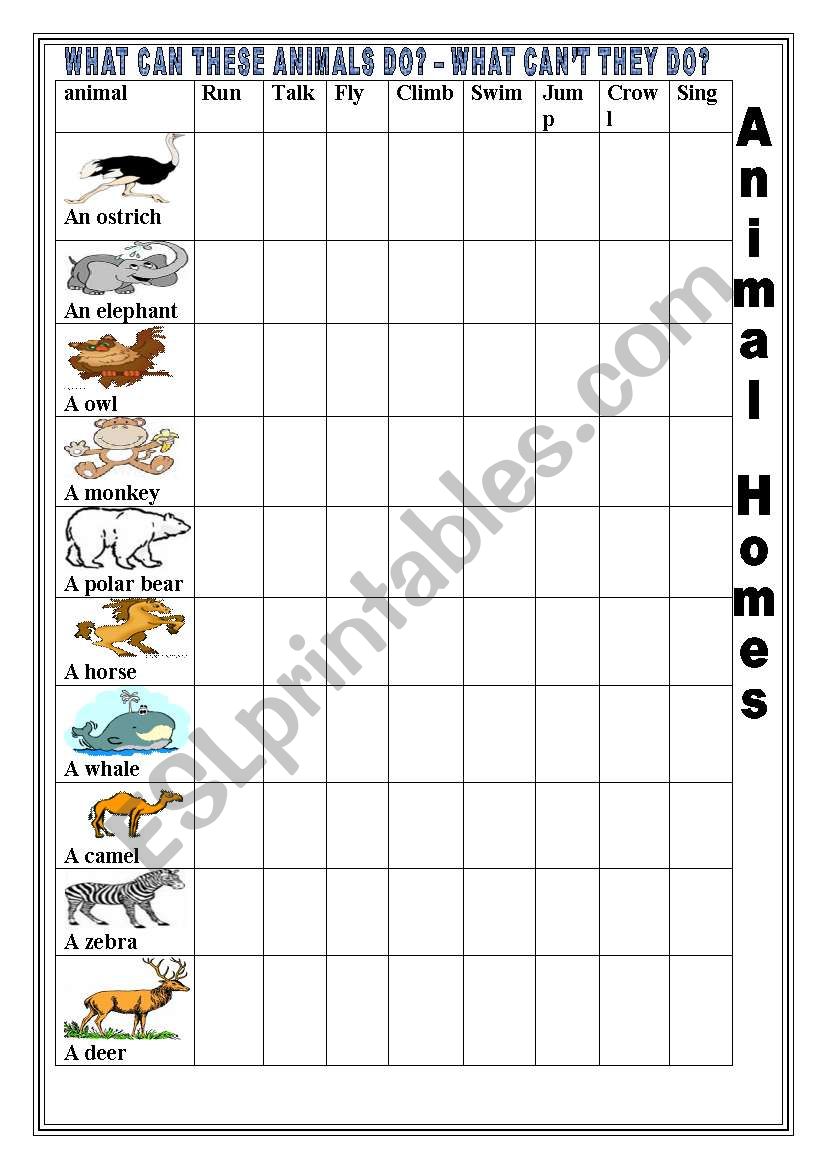 animal homes worksheet