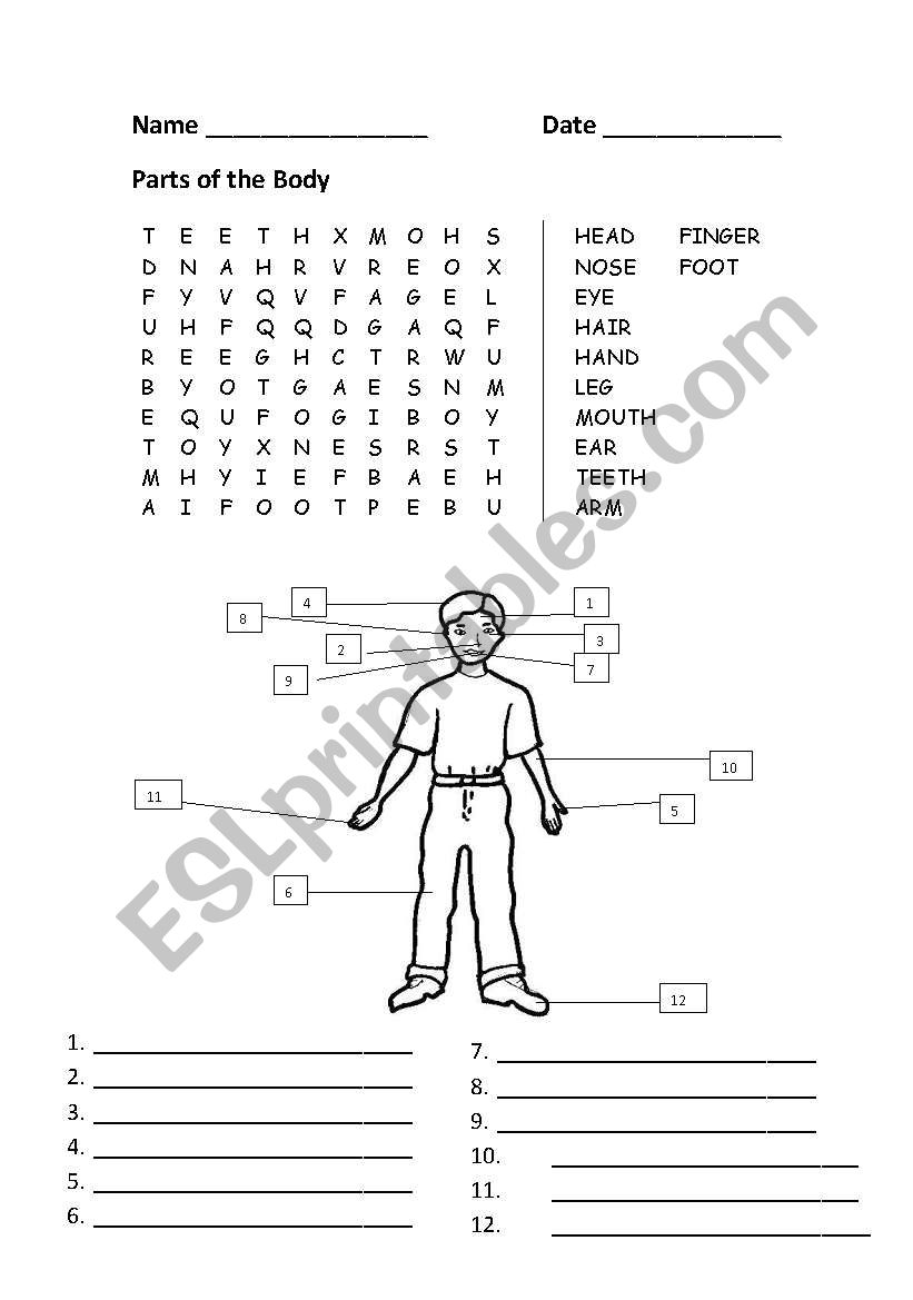 Parts of the Body worksheet