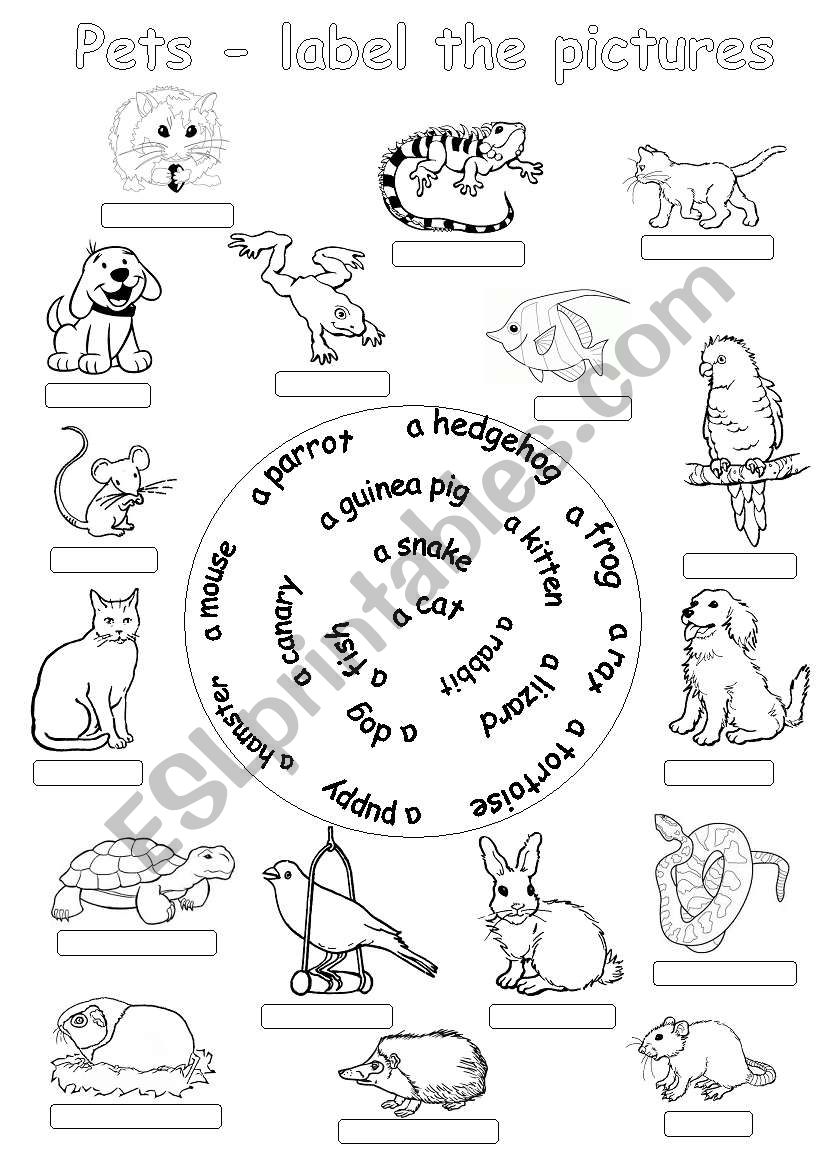 Pets-label the pictures worksheet