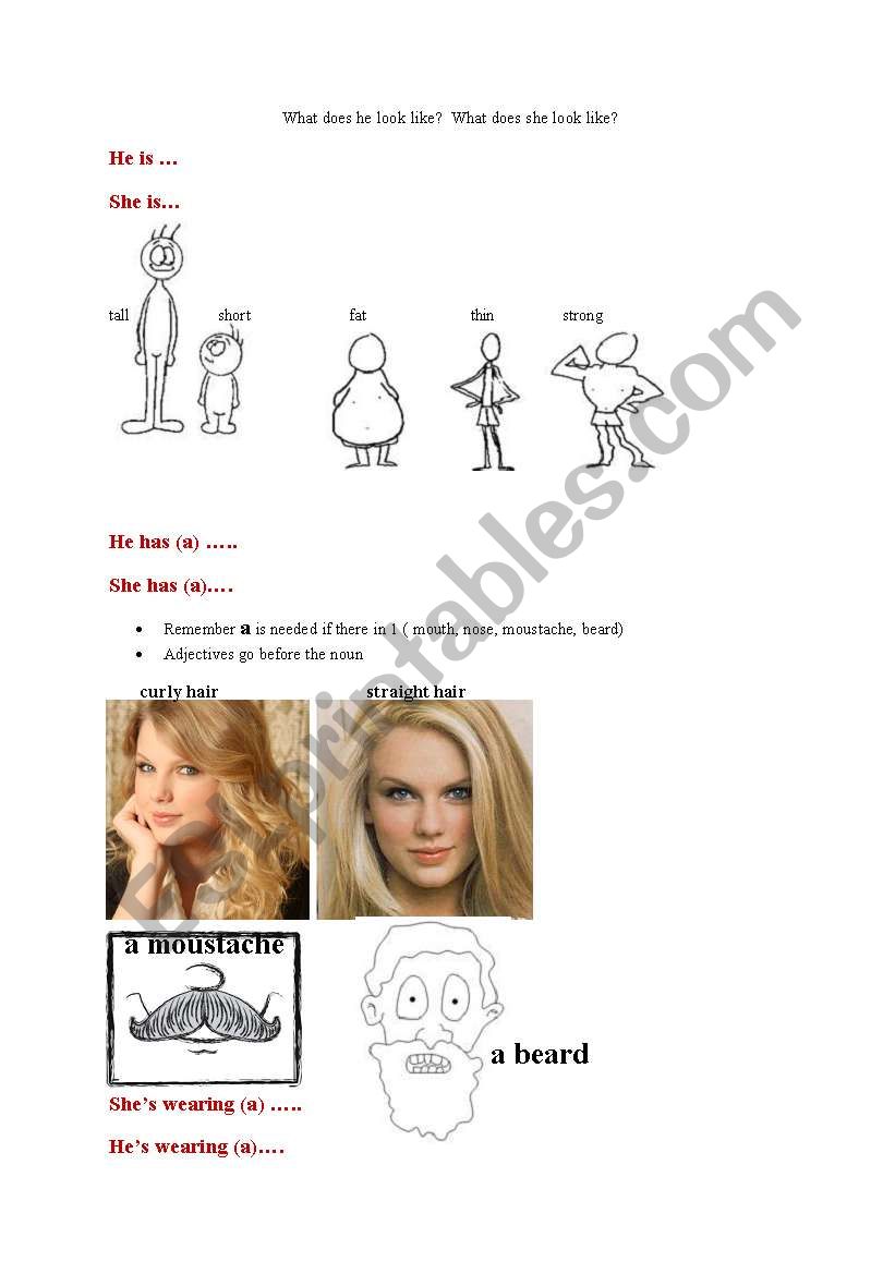 Attributes He is.. She is.. worksheet