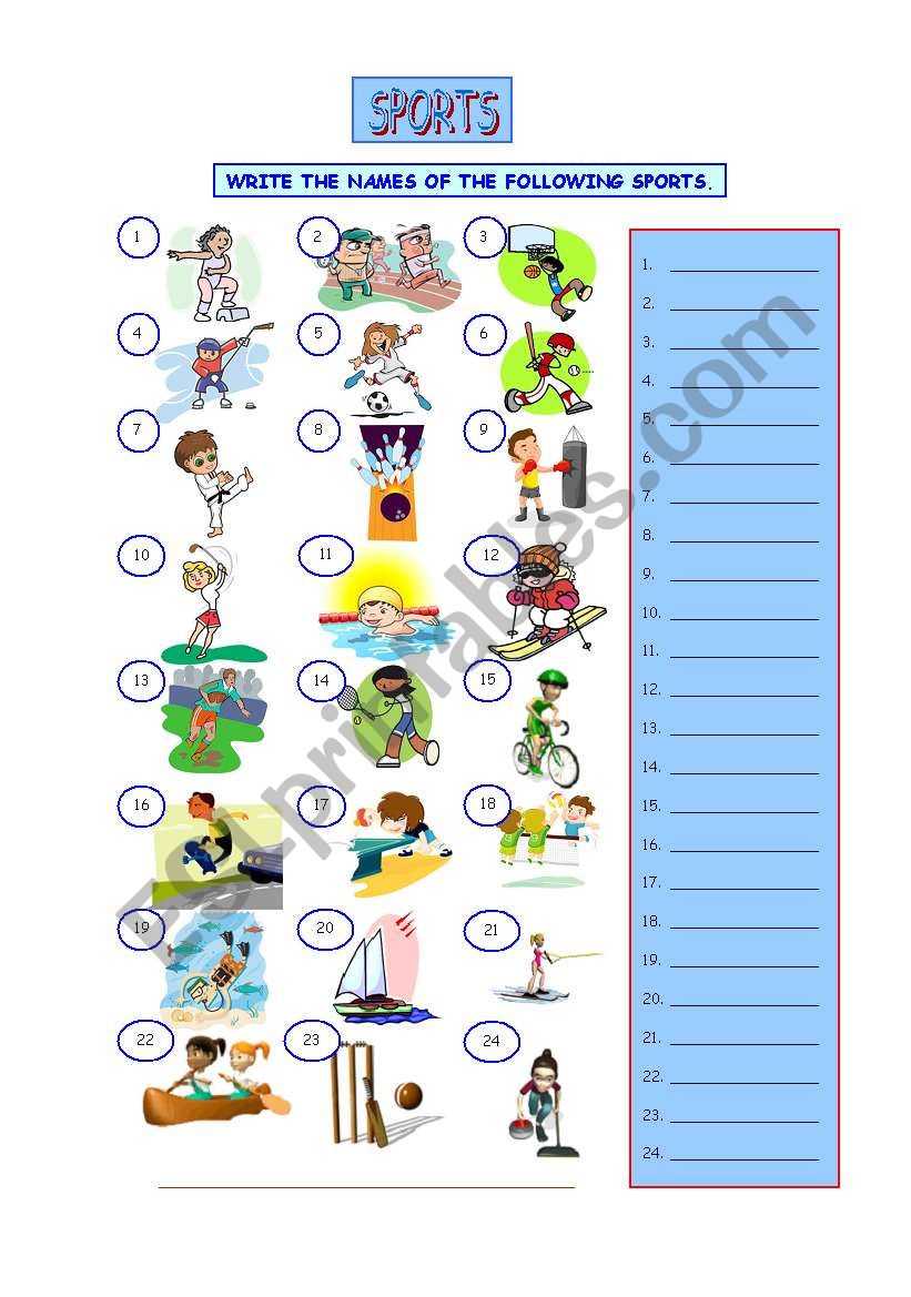 Sports worksheet