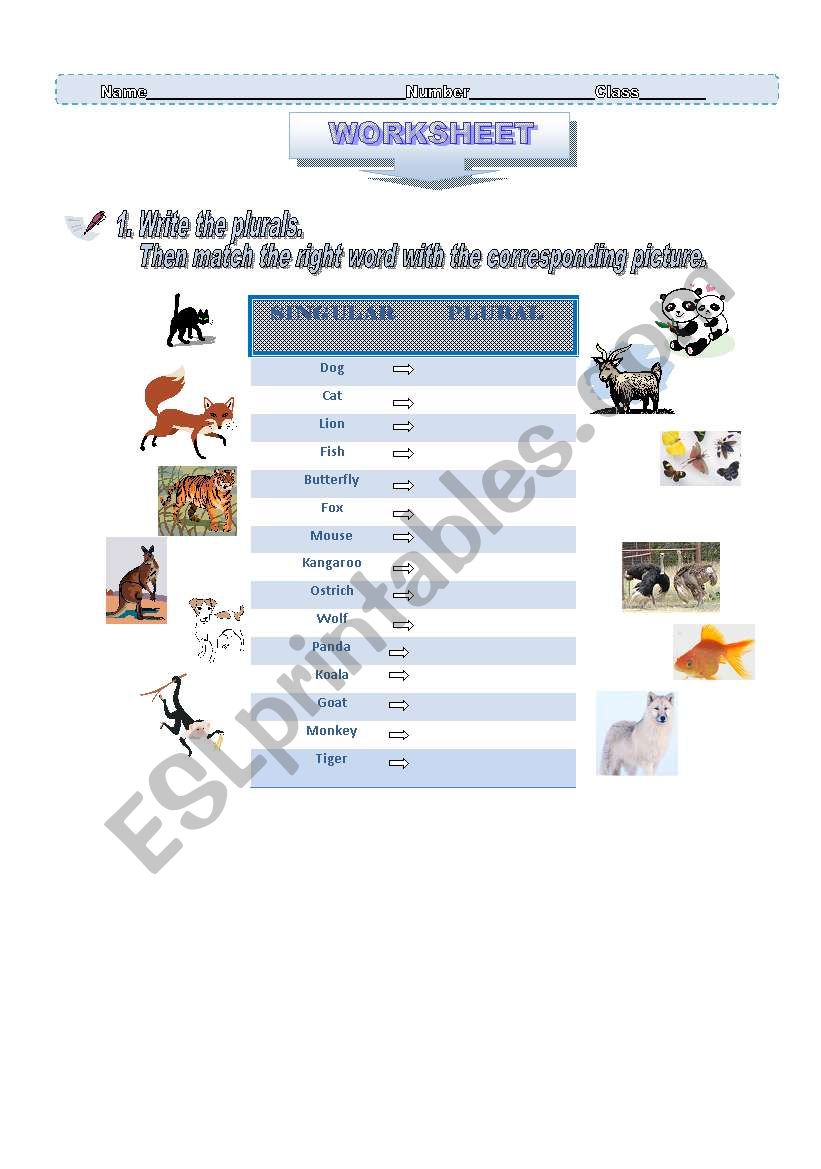 Plural of Nouns worksheet