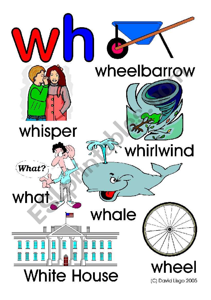 Wh What teaching resources: 7 worksheets