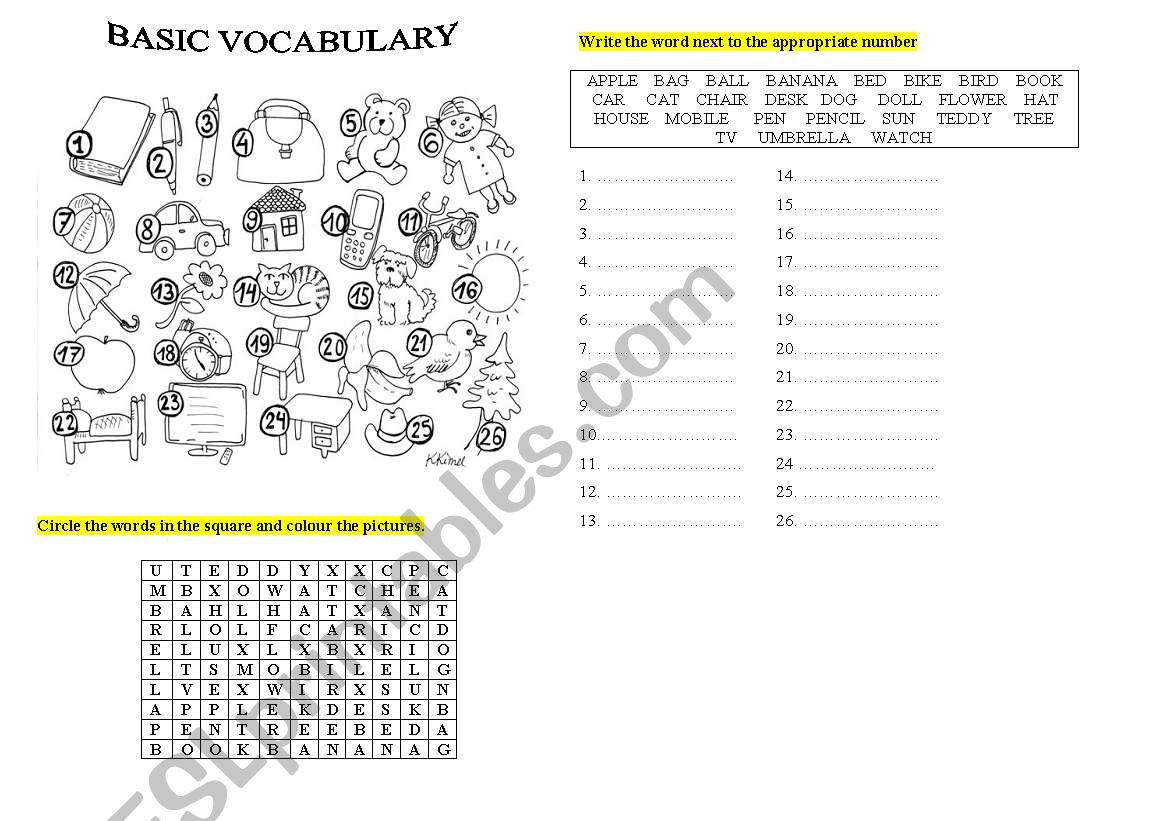 BASIC VOCABULARY worksheet