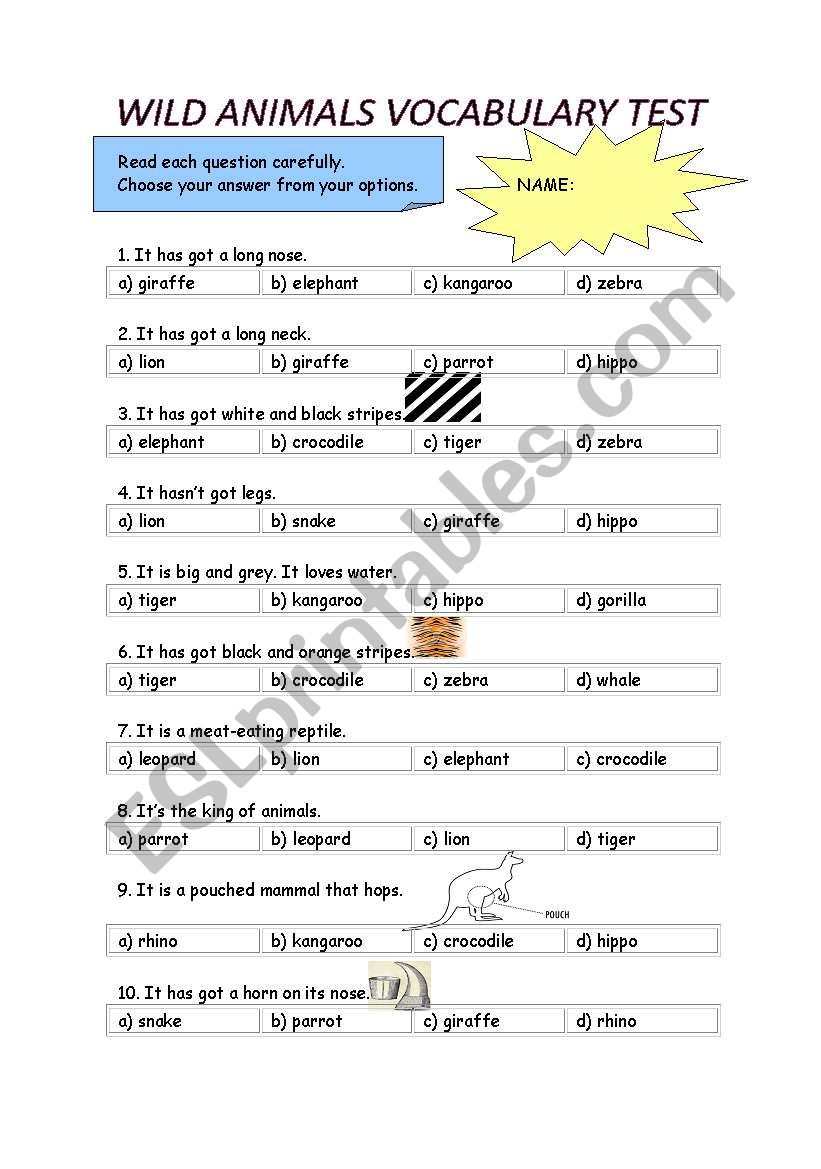 Wild Animals worksheet