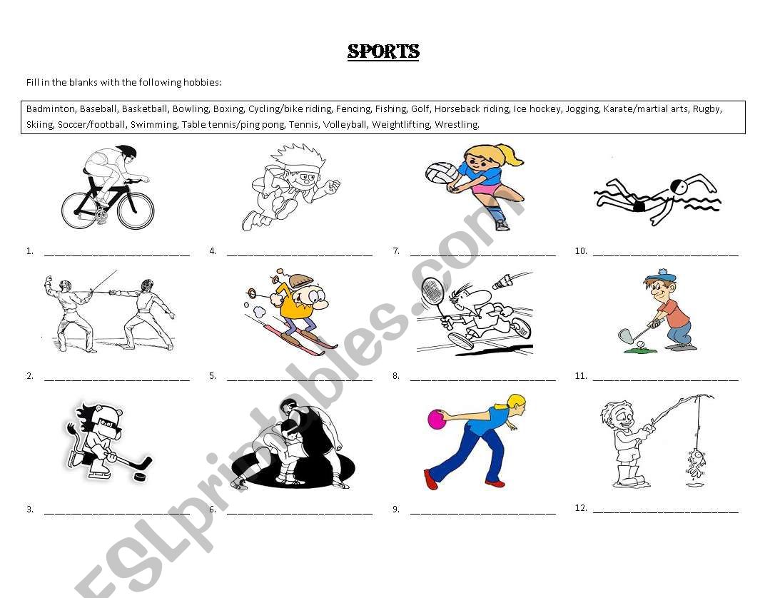 Worksheet - Sports worksheet