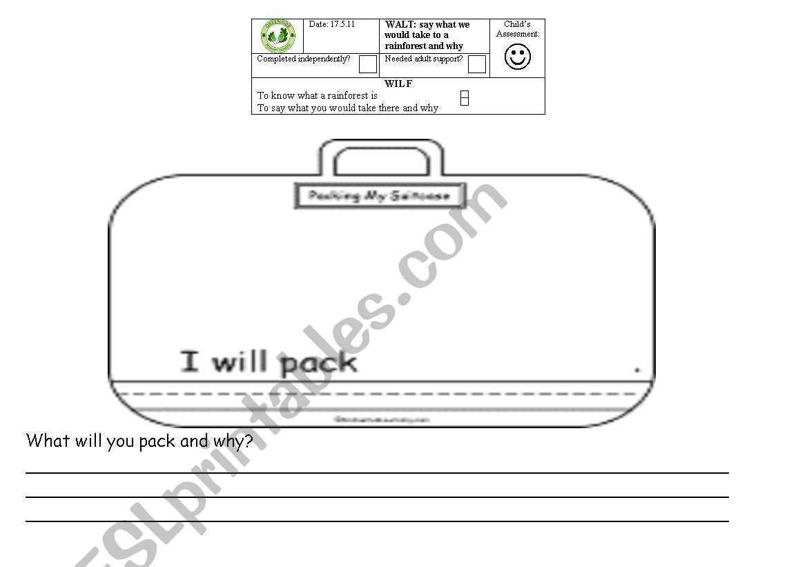 Rainforest suitcase worksheet