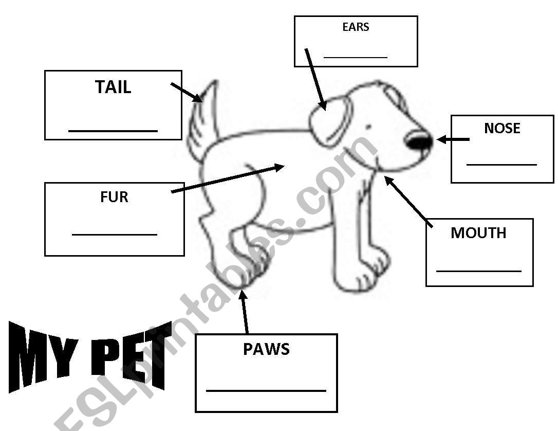 A Pet and its parts! worksheet