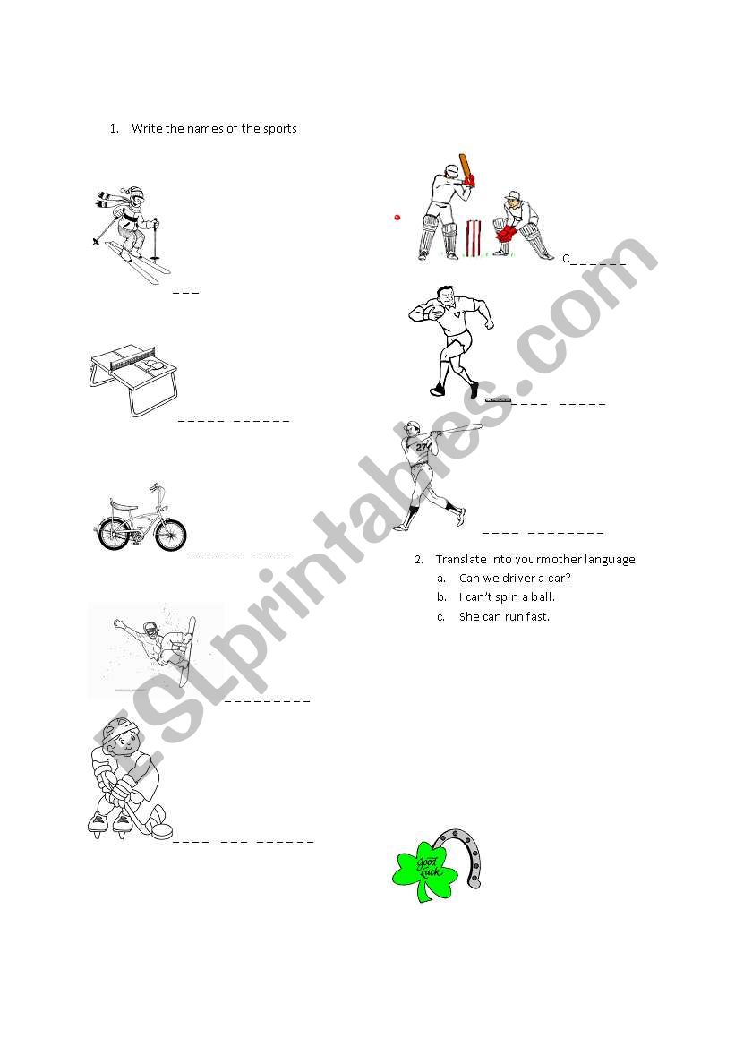 sport disciplines worksheet