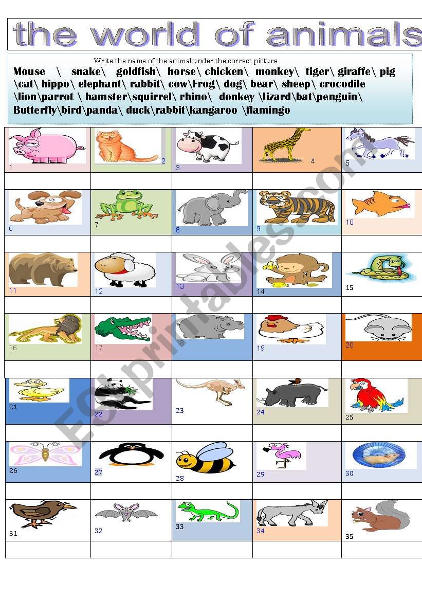 the world of animals  worksheet