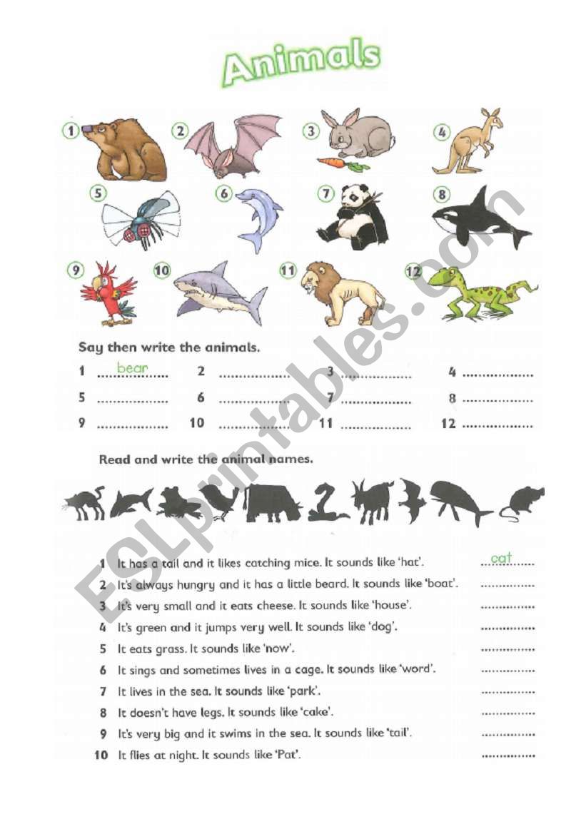 animals worksheet