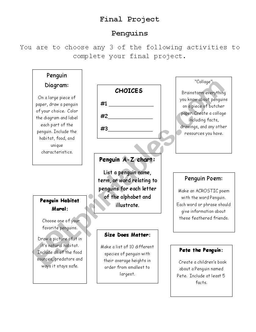 Penguin Projects worksheet