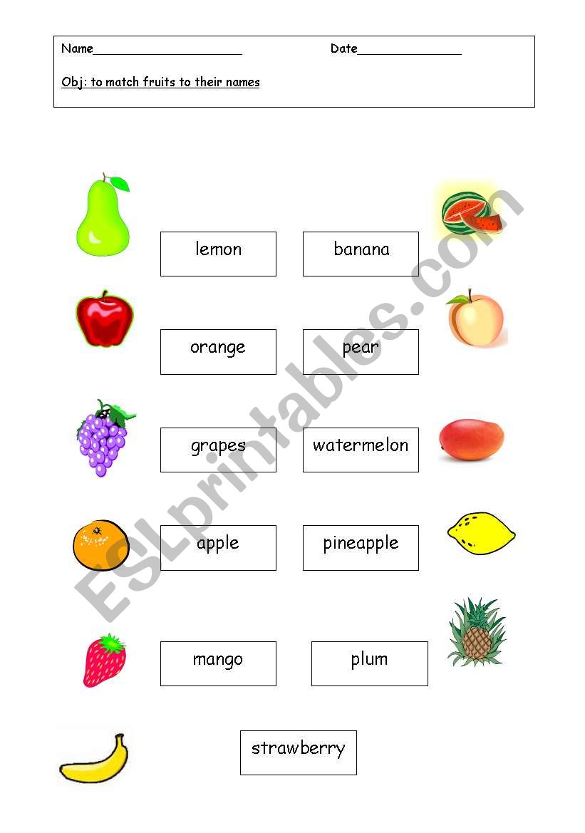 Fruit Matching worksheet